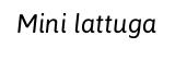 Dimmidisì Fior di Foglia Petali di Lattuga