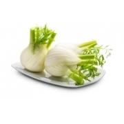 Finocchio Taglio Corto al Kg